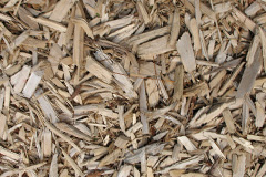biomass boilers Moncreiffe